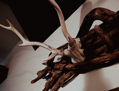 店内インテリア